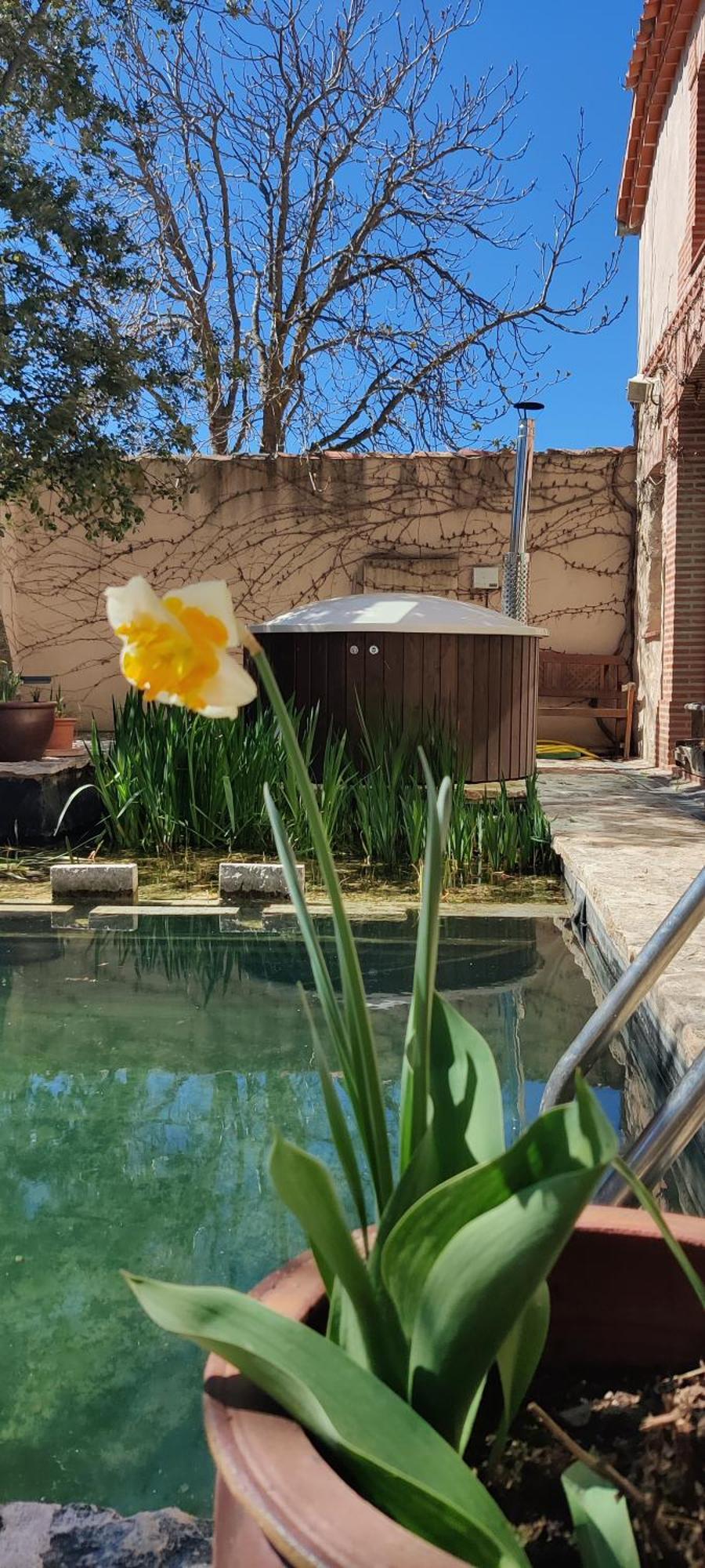 Country house Viento De Ladera Piscina Natural Y Jacuzzi Ext *